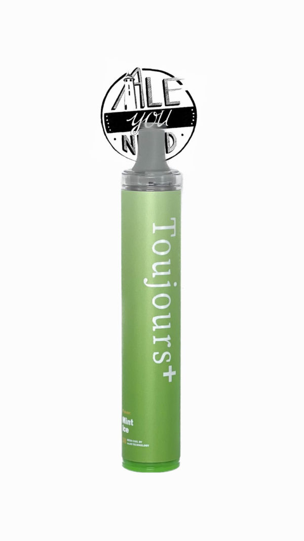 Puff Toujours Plus - Mint Ice 800 bouffées (2% nicotine)